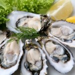Can I eat oysters while pregnant?