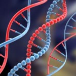 Can I get a DNA test while pregnant?