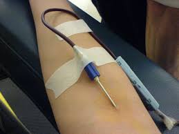 can I give blood while pregnant